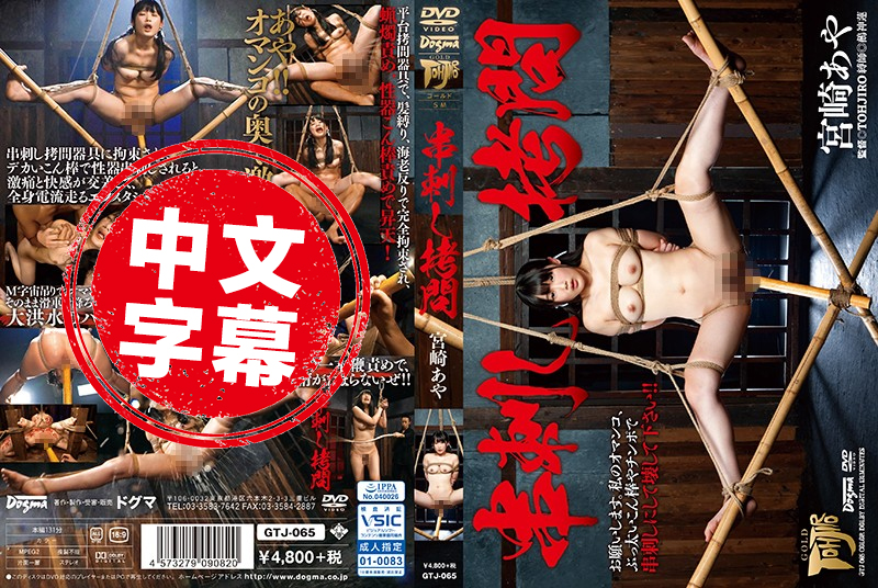 GTJ-065 串刺的拷问 宫崎彩 宫崎彩 - 139